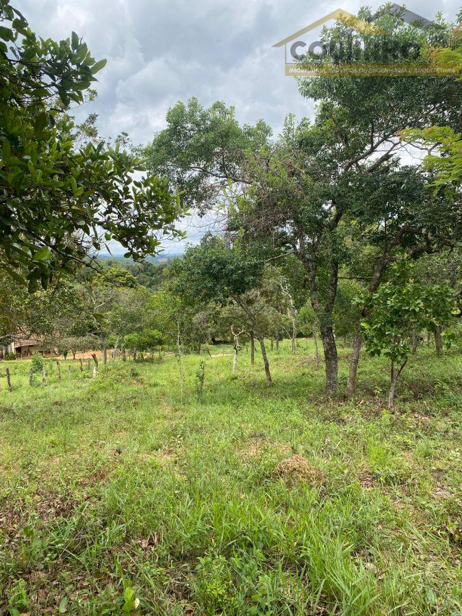 WhatsApp Image 2026-01-29 at 20.11.48 (2).jpeg